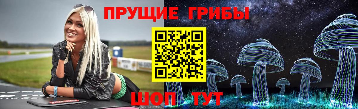 Псилоцибиновые грибы мицелий Котлас